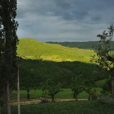 Paradiso 44 * Assisi