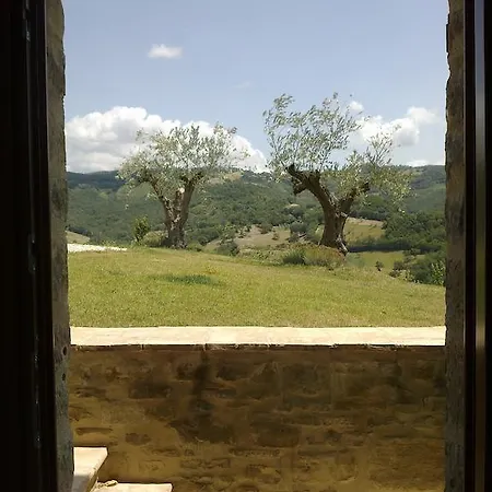Paradiso 44 * Assisi