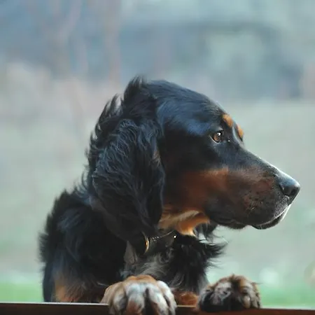 Paradiso 44 Agroturismo