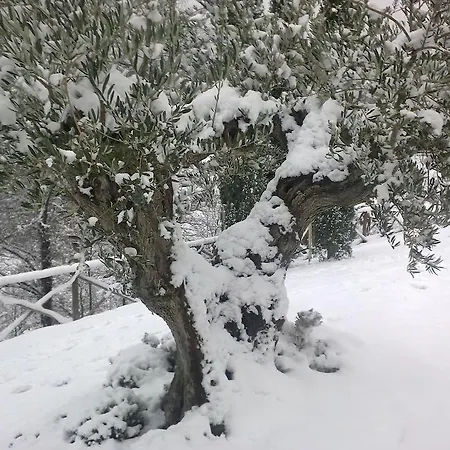 Paradiso 44 Agroturismo *