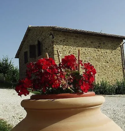 Paradiso 44 * Assisi