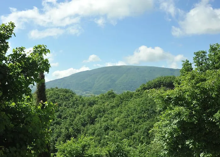 Feriegård Paradiso 44 Assisi