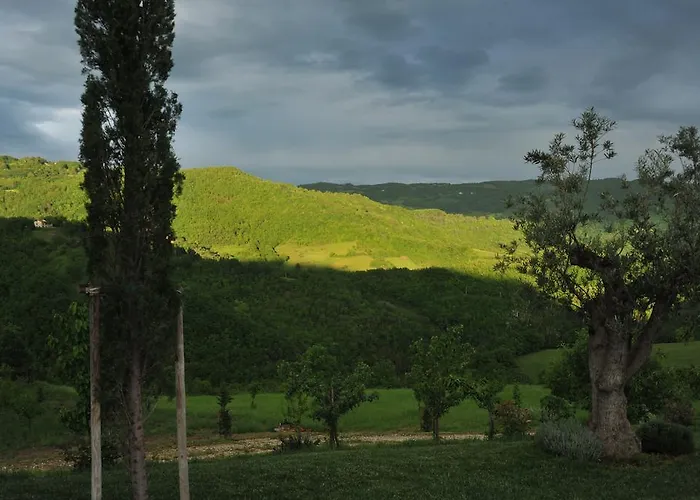 Paradiso 44 * Assisi