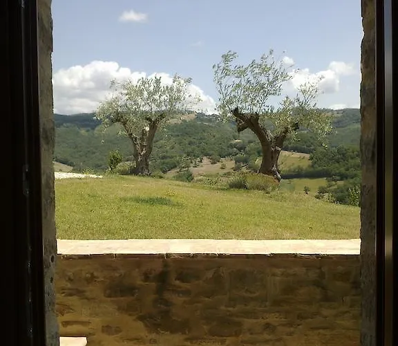 Paradiso 44 * Assisi