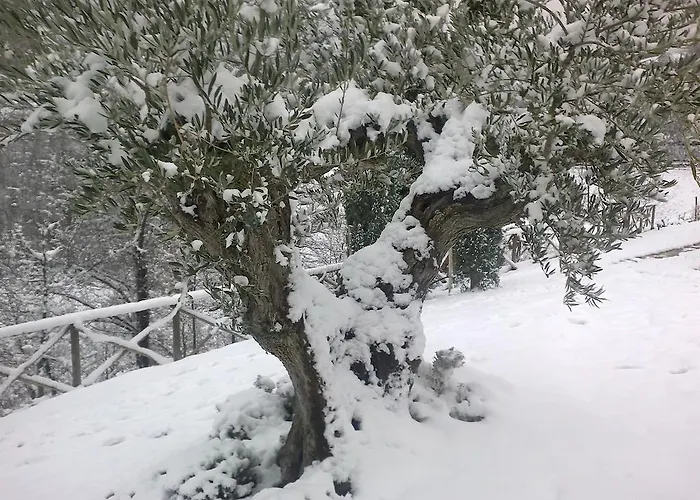 Paradiso 44 Feriegård *