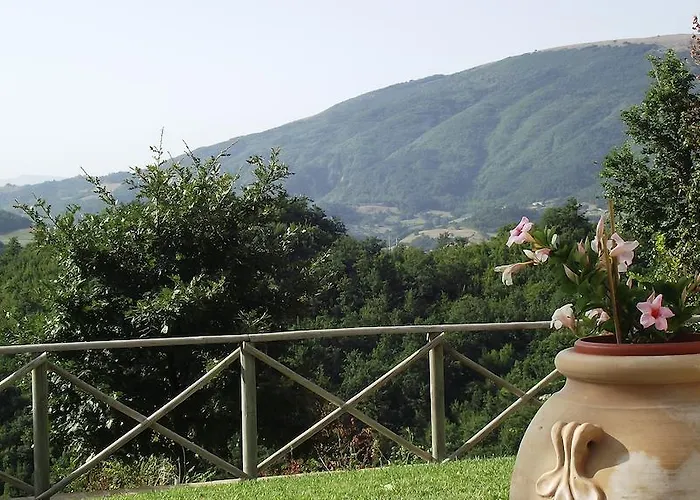 Paradiso 44 Feriegård *