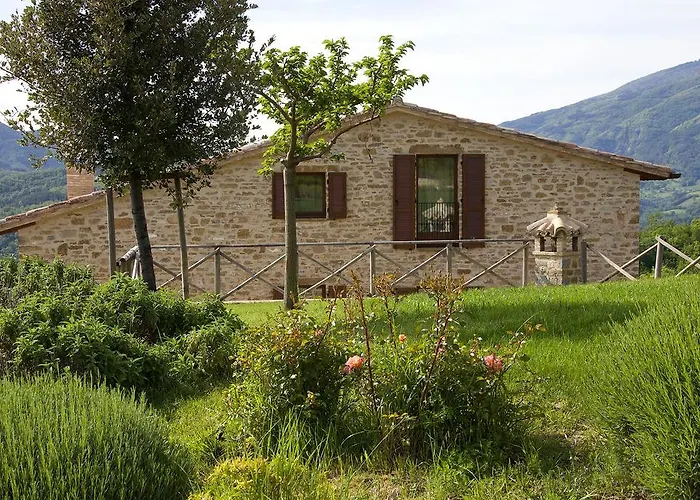 Paradiso 44 Feriegård Assisi