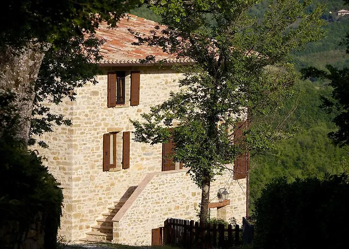 Paradiso 44 Feriegård Assisi